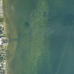 Angel City Florida High Resolution Satellite Map