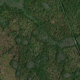 Withla Florida High Resolution Satellite Map