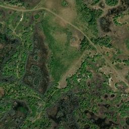 Pasco County map(satellite map)
