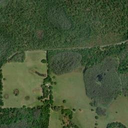 Green Pond Florida High Resolution Satellite Map