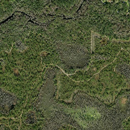 Blue Lake Florida High Resolution Satellite Map