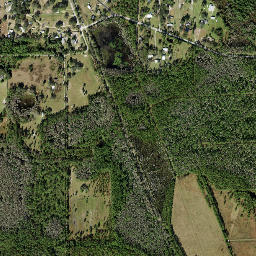 Poyner Florida High Resolution Satellite Map
