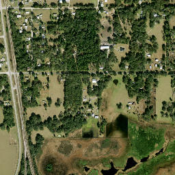 Vitis Florida High Resolution Satellite Map