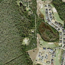 Reunion Florida High Resolution Satellite Map