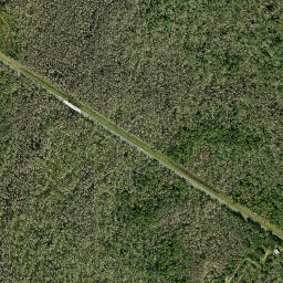 Port Lonesome Florida High Resolution Satellite Map