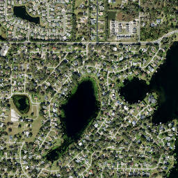 Saxon Lake Fl Sinkhole