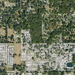 Zephyrhills South map(satellite map)