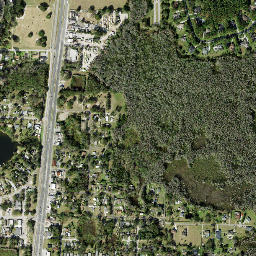 Lutz map(satellite map)