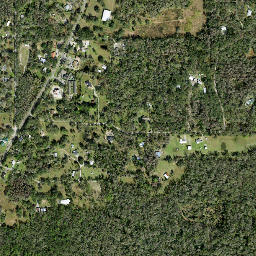 Branchton Florida High Resolution Satellite Map