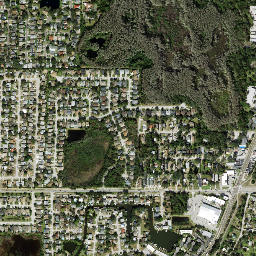 Cove Springs Florida High Resolution Satellite Map