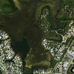 Wall Springs Florida High Resolution Satellite Map