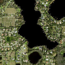 Cosme Florida High Resolution Satellite Map