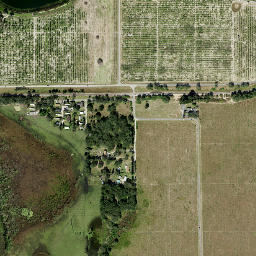 Lynchburg Florida High Resolution Satellite Map