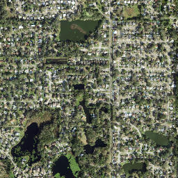 Lake Magdalene map(satellite map)