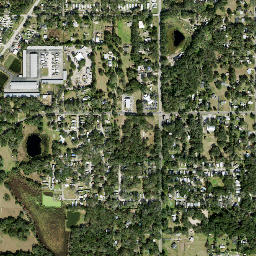 Thonotosassa map(satellite map)