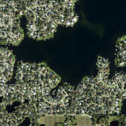 Carrollwood map(satellite map)