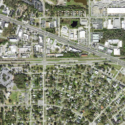 Oldsmar map(satellite map)