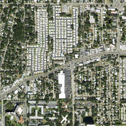 Dunedin map(satellite map)