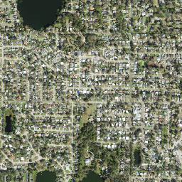 Egypt Lake-Leto Florida High Resolution Satellite Map