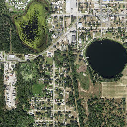 Dundee map(satellite map)