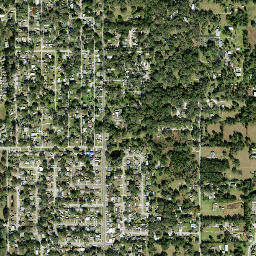 Mango Hills Florida High Resolution Satellite Map