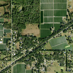 Turkey Creek Florida High Resolution Satellite Map