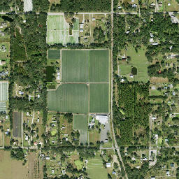 Trapnell Florida High Resolution Satellite Map