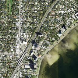 Palma Ceia Florida High Resolution Satellite Map