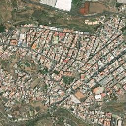 Carrizal map(satellite map)