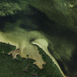 Feather Sound Florida High Resolution Satellite Map