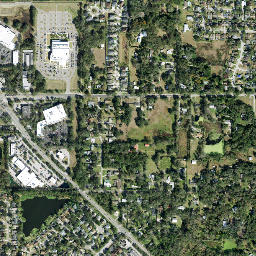 Bloomingdale map(satellite map)