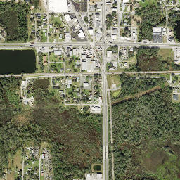 Mulberry map(satellite map)