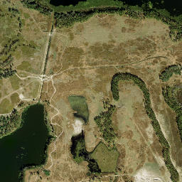 Roux Quarters Florida High Resolution Satellite Map