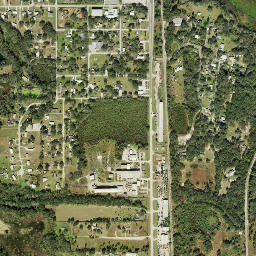 South Mulberry Florida High Resolution Satellite Map