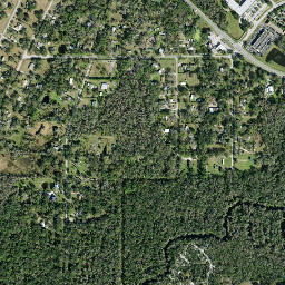 Marvina Florida High Resolution Satellite Map