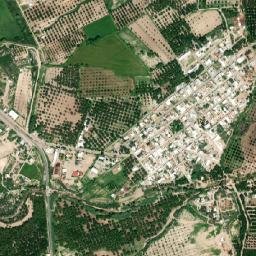 La Cruz map(satellite map)