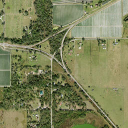 Edison Florida High Resolution Satellite Map