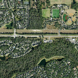 Fish Hawk map(satellite map)