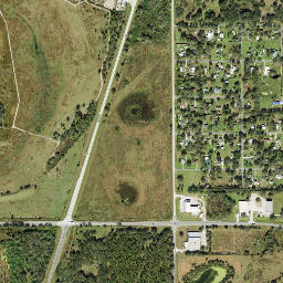 Pine Dale Florida High Resolution Satellite Map