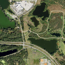 Pebbledale Florida High Resolution Satellite Map