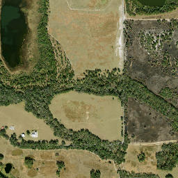 Lillibridge Florida High Resolution Satellite Map