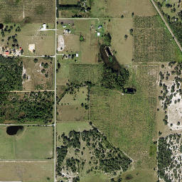 Wolfolk Florida High Resolution Satellite Map