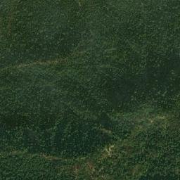 St Petersbur High Resolution Satellite Map