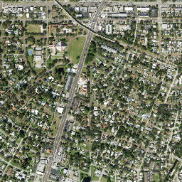 Pasadena Florida High Resolution Satellite Map