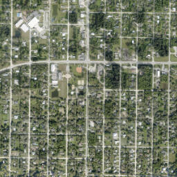 Fellsmere map(satellite map)