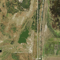 Brewster Florida High Resolution Satellite Map