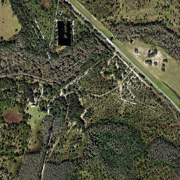 Lokosee Florida High Resolution Satellite Map