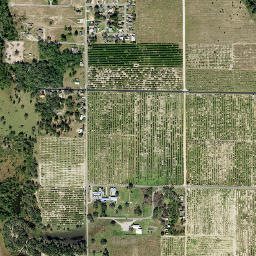 Maxcy Quarters Florida High Resolution Satellite Map