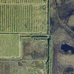 Indian River County map(satellite map)