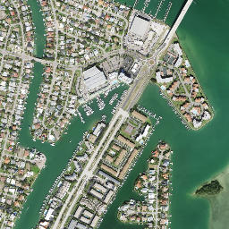 Tierra Verde map(satellite map)